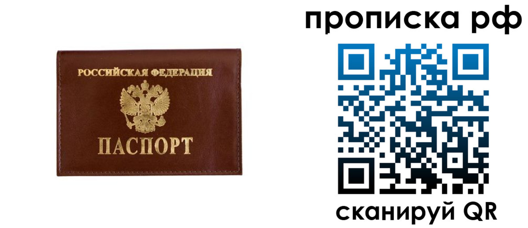 прописка в квартире в Мытищах